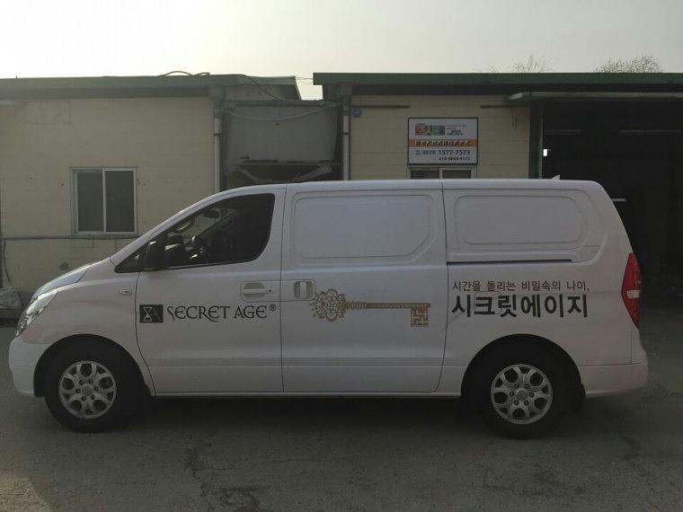 스타렉스 네슈라 풀랩핑