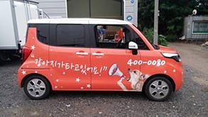 레이 전체랩핑 1대