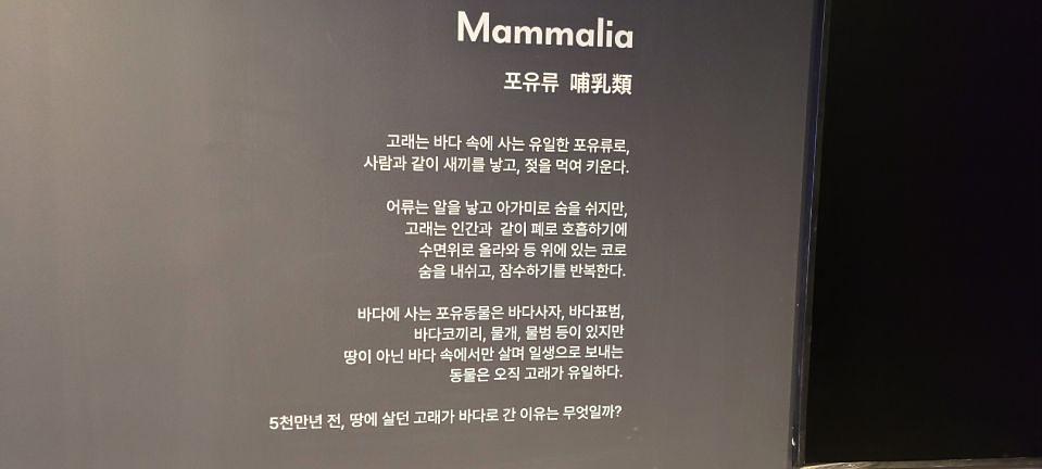 11/16 파라다이스 호텔 고래와 나 제작 및 시공