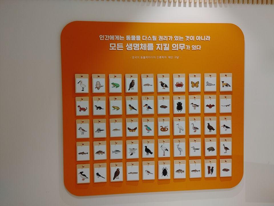 11/28 홍성교육청 체험존 제작 및 시공