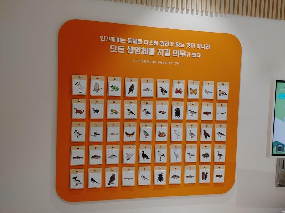11/28 홍성교육청 체험존 제작 및 시공