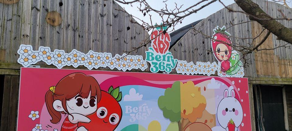 12/28 딸기농장 제작 및 시공