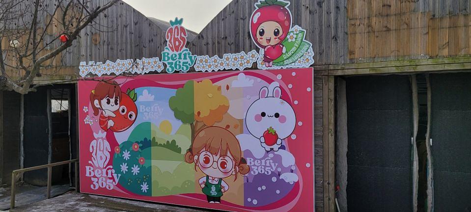 12/28 딸기농장 제작 및 시공