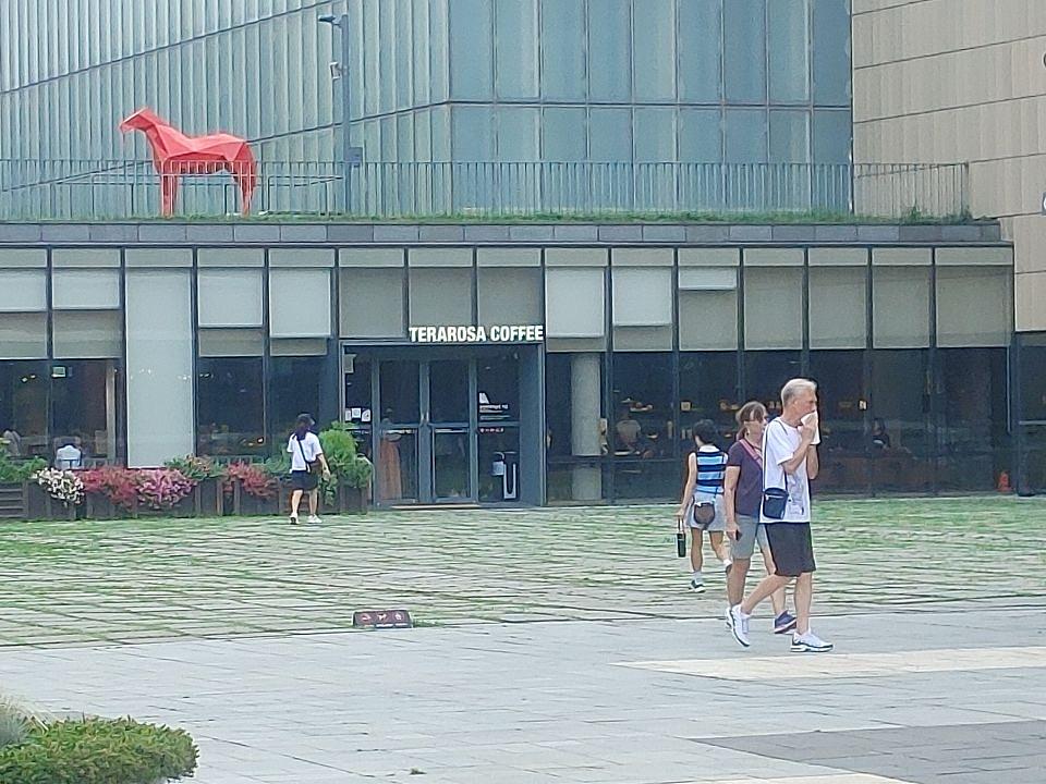 2025/09/02 테라로사/현대미술관점 제작 및 시공