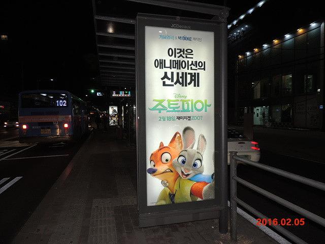 주토피아 버스승강장 광고 와이드칼라 시공사진
