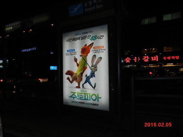 주토피아 버스승강장 광고 와이드칼라 시공사진